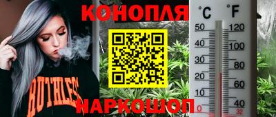 МДПВ Обнинск