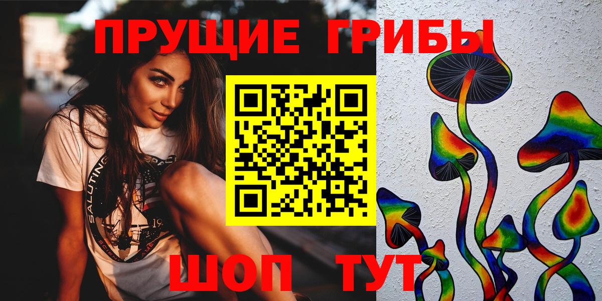 Галлюциногенные грибы Psilocybe Томск