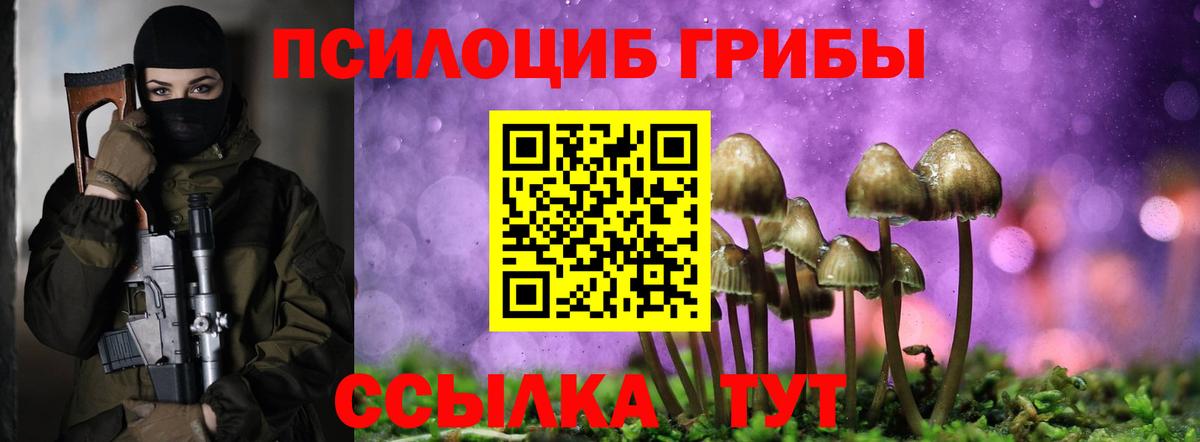 Томск  Галлюциногенные грибы Psilocybine cubensis  Вход с VPN 